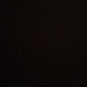 Meet your Posher, Rose